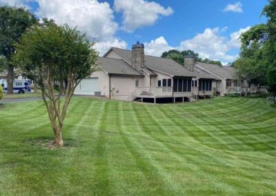 Lawn service 1